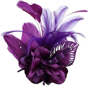 Song Qing Women's Fascinator Feather Tea Party Hat Hair Clip Pin Brooch Corsage Bridal Hairband Derby Hat Cocktail Wedding
